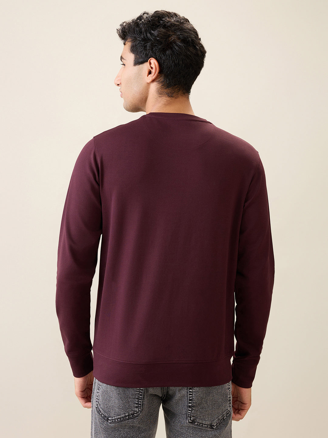 Parx Men Purple Graphic Regular Fit Cotton Blend Full Sleeve Round Neck Collar Sweatshirt