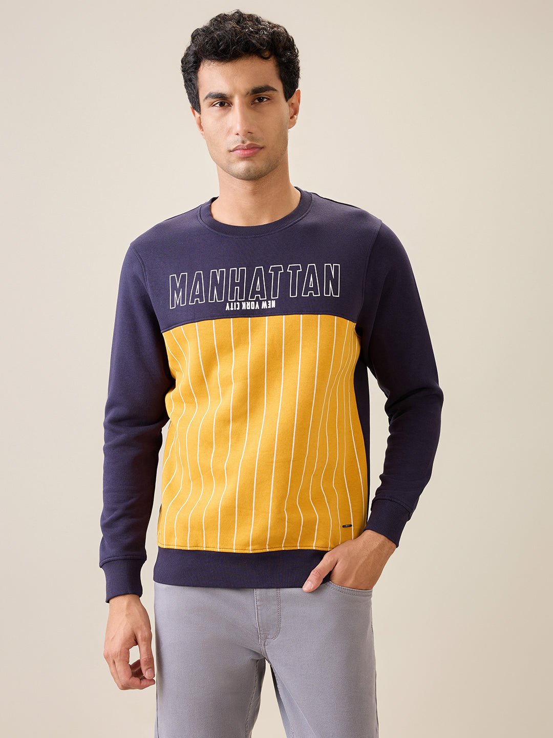 Parx Men Blue Cut & Sew Regular Fit Cotton Blend Full Sleeve Round Neck Collar Sweatshirt