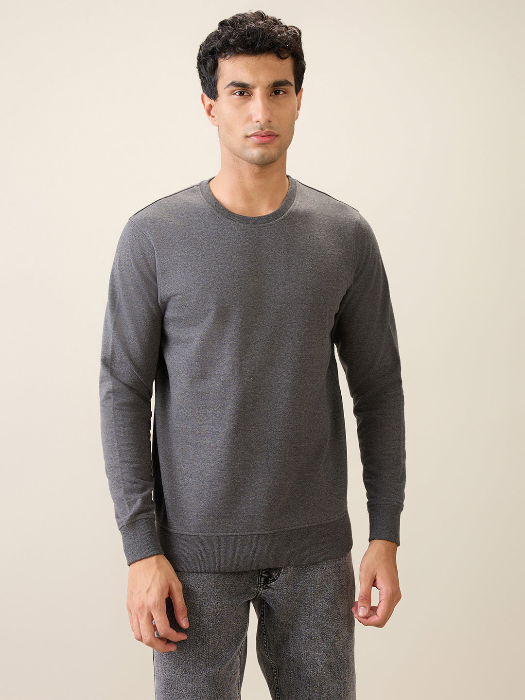Parx Men Grey Solid Regular Fit Cotton Blend Full Sleeve Round Neck Collar Sweatshirt