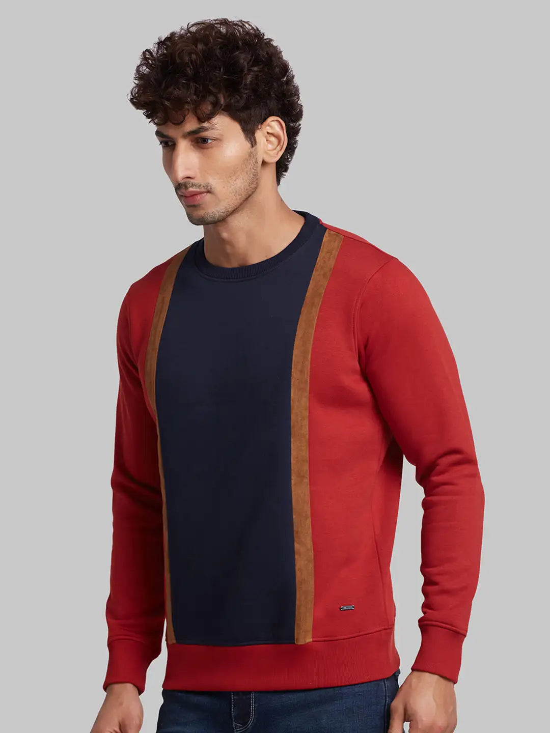 Parx Men Orange Regular Fit Cut & Sew Cotton Blend Sweatshirt