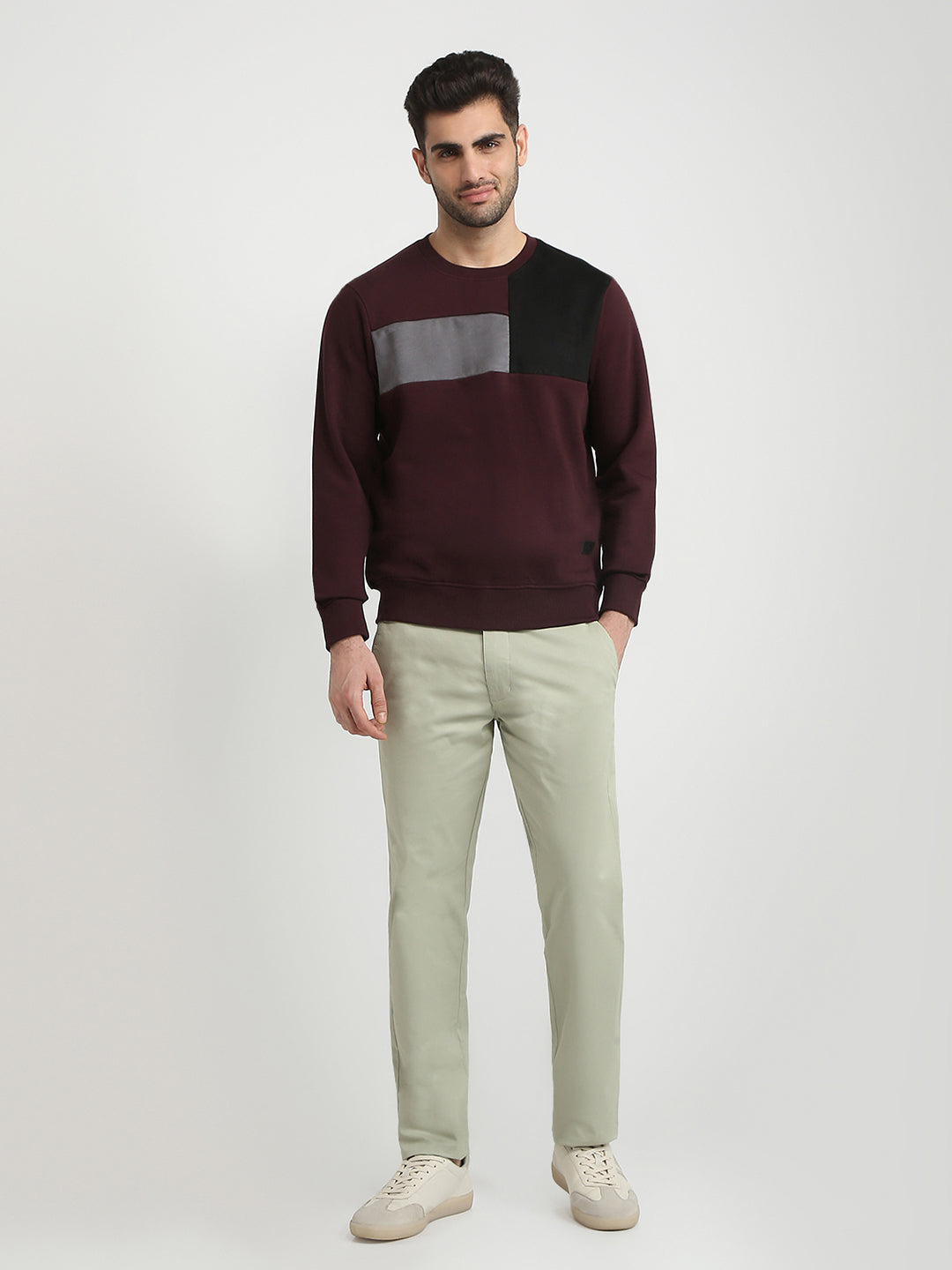 Parx Men Purple Cut & Sew Regular Fit Cotton Blend Full Sleeve Round Neck Collar Sweatshirt