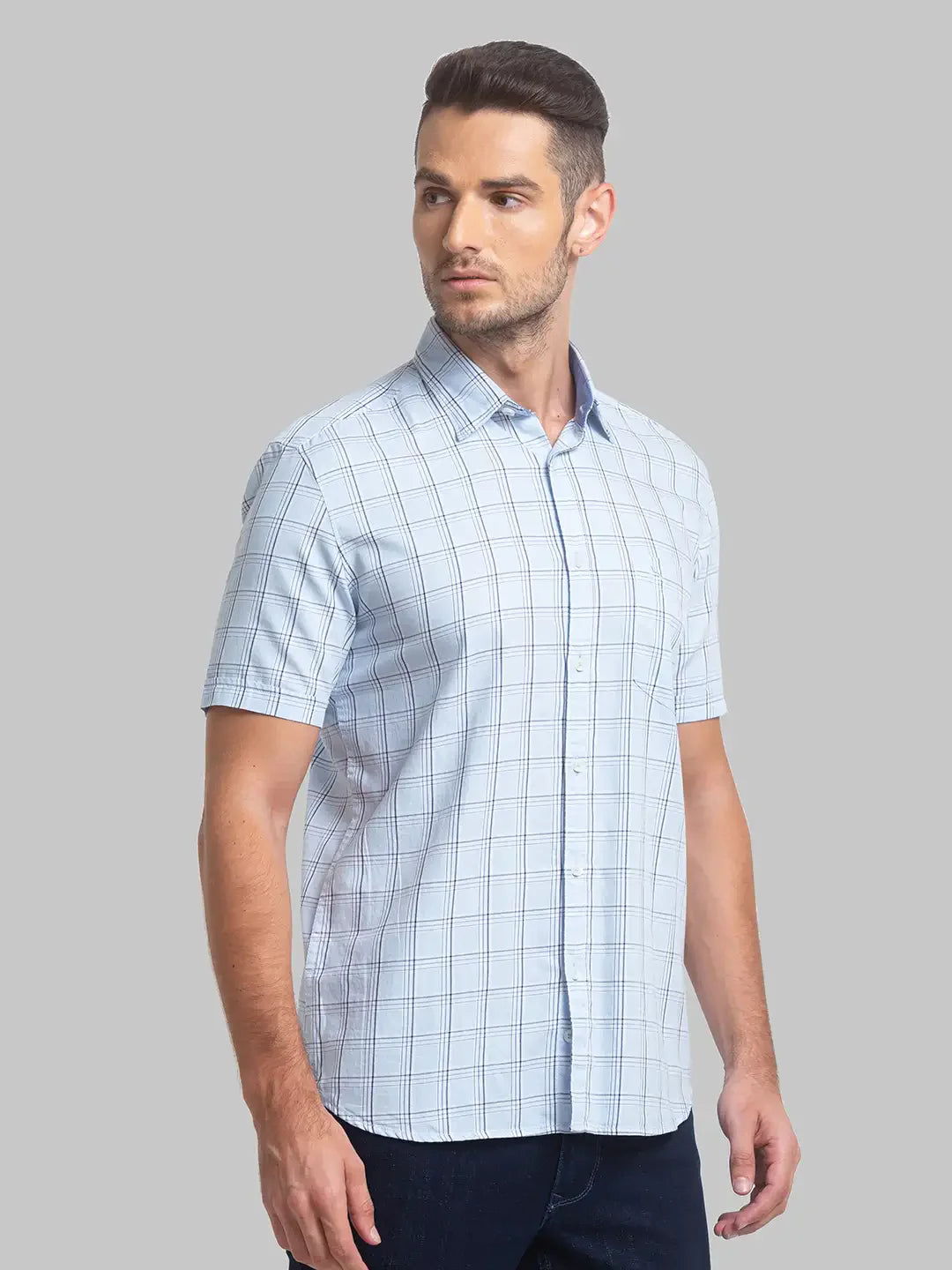 Men Blue Slim Fit Checks Cotton Half Sleeve Shirts